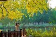 成人在线视频免费观看-成人在线视频，免费观看的利与弊