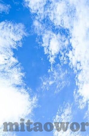 伦理资源站-伦理资源站，构建道德指引的数字灯塔