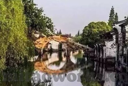 麻豆才视频下载网站-剖析网络视频下载平台，麻豆才视频及其影响